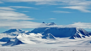 Antarctica hits record temperatures, say experts