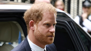 Prince Harry loses bid to appeal UK security ruling