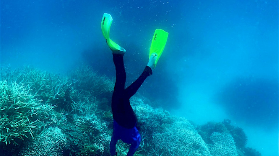 Australia's Great Barrier Reef in grip of 'mass bleaching event'