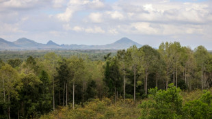 Präsidenten von Gabun und Frankreich richten internationalen Waldgipfel aus