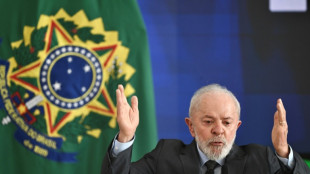 Brazil's Lula to build trade ties on Japan state visit