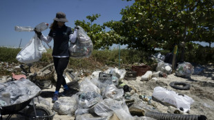 Fishermen, sailing champions clean up trash-covered Rio island