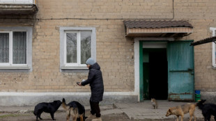 Nourrir les chiens et "volonté de Dieu": une journée à la lisière du front ukrainien