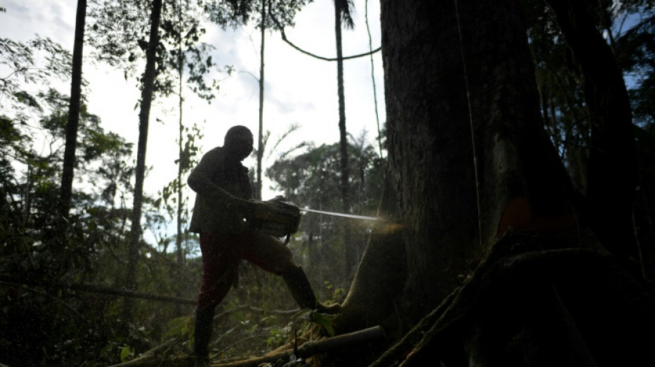 Indígenas da Amazônia colombiana alertam para aumento do desmatamento se Usaid fechar