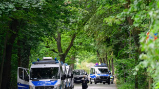 Vaine chasse à la lionne près de Berlin