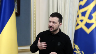 Zelensky, 'piano per fermare Putin prima dei colloqui con russi'