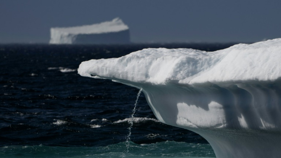 Au Groenland, l'univers inuit fond comme peau de chagrin