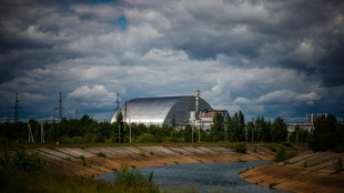 Russian drone 'struck' Chernobyl cover, no radiation increase: Zelensky