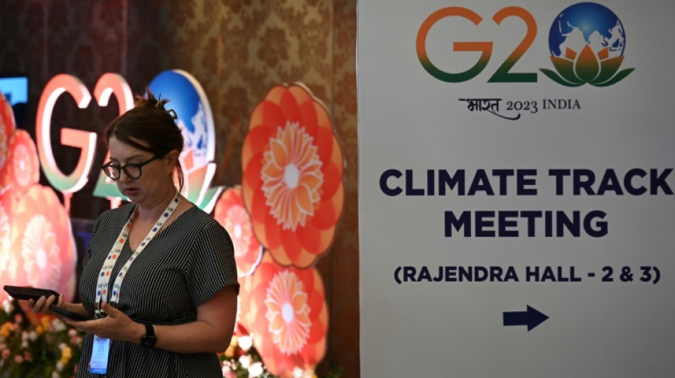 G20 environment ministers race to reach climate consensus