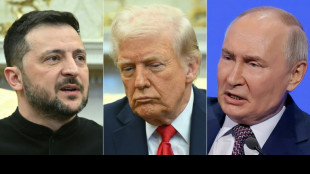 Zelensky fait état de nouvelles frappes après l'accord Trump-Poutine sur une trève limitée