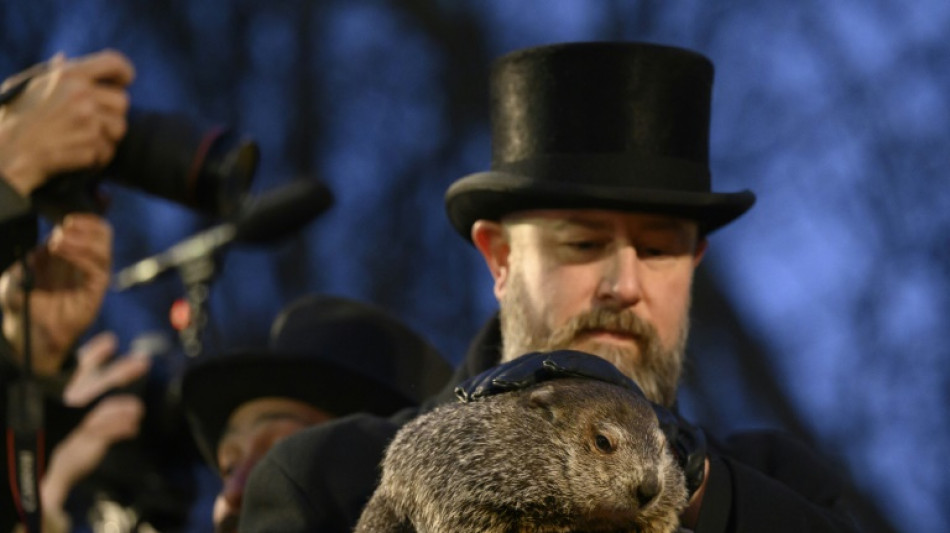 Scientists cast doubt on famous US groundhog's weather forecasts