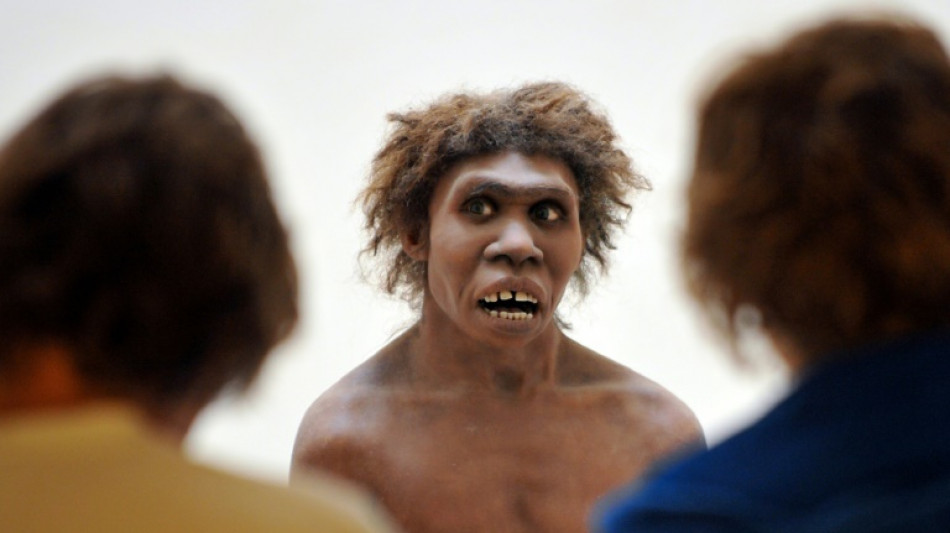 Homo erectus, not sapiens, first humans to survive desert: study