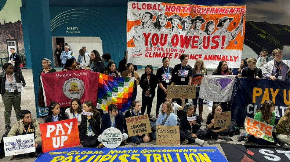 UN climate chief at deadlocked COP29: 'Cut the theatrics'