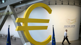 Inflation im Euroraum zum Jahresende weiter angestiegen