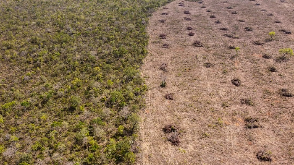 Climat: forte augmentation des émissions au Brésil sous Bolsonaro