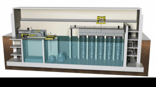 Nucleare, decreti attuativi entro 12 mesi da ok a legge