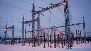 Baltic states 'successfully' link with European power grid