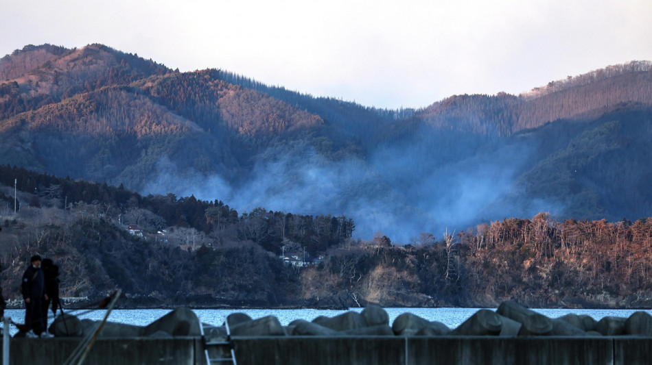 Giappone: allerta incendi boschivi nella prefettura di Iwate