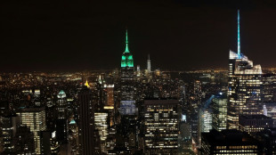 For climate activists, New York's lights shine too bright