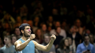 Tennis: Alcaraz s'offre à Rotterdam un premier titre en salle