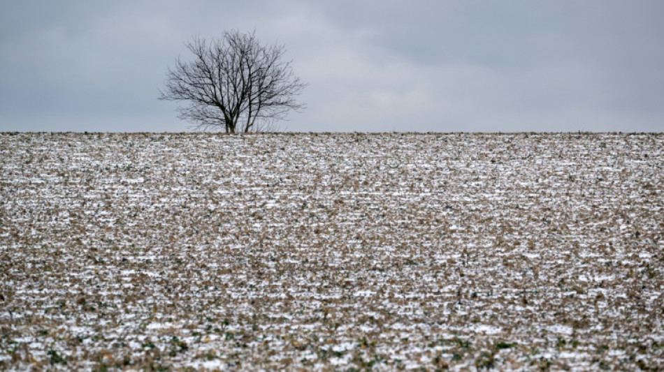 Grand froid sur une partie de la France, rallonge pour l'hébergement d'urgence