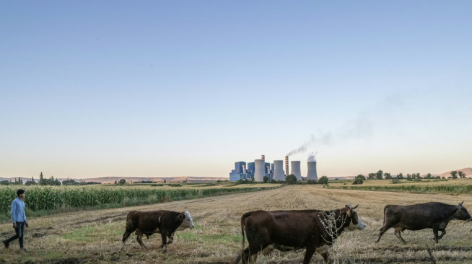 La pollution par habitant liée au charbon augmente dans les pays du G20