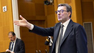 Giorgetti, 'su Tim abbiamo fatto il nostro ruolo'