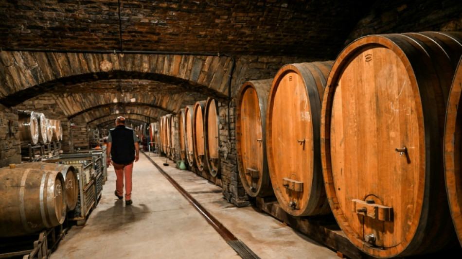 Riesling in Fernost: Deutsche Winzer verkaufen deutlich mehr nach China