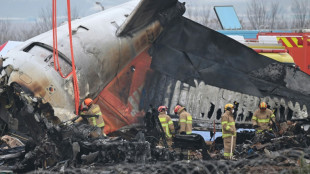 Coreia do Sul investiga se muro com o qual avião da Jeju Air colidiu respeitava as normas