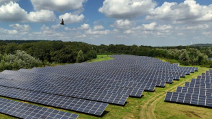 Installierte Leistung erneuerbarer Energien steigt um zwölf Prozent