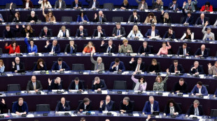 Droits humains : quand le Parlement européen s'interroge sur l'utilité de ses votes