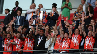 Luton sobe para a primeira divisão do Campeonato Inglês