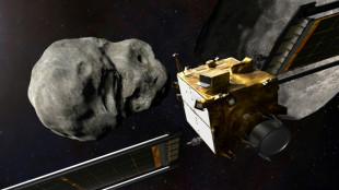 Do look up: How Earth can defend itself against asteroid