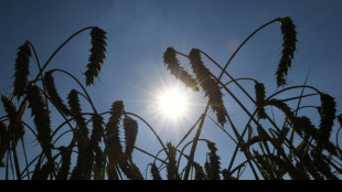 Deutscher Wetterdienst rechnet bis 2028 mit deutlich wärmeren Jahren