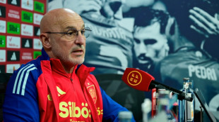 Spain coach hails emerging talent ahead of Netherlands clash