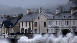 Sturm "Eowyn" richtet in Irland und Großbritannien Verwüstungen an - Ein Toter