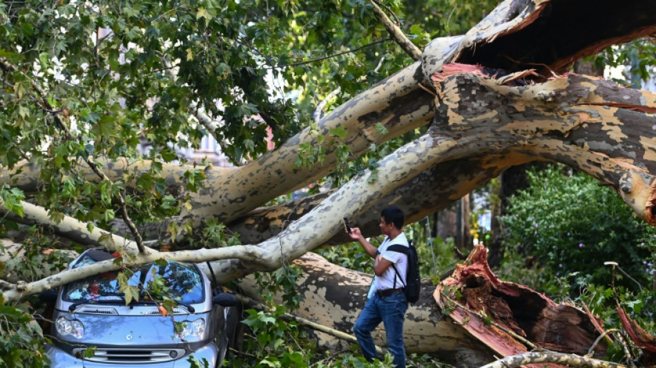 Storm brings down trees in Milan as fire closes Sicily airport