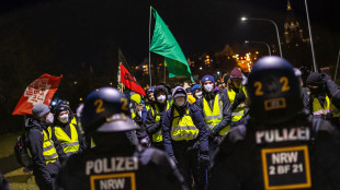 In Germania manifestanti ostacolano l'avvio del congresso di Afd