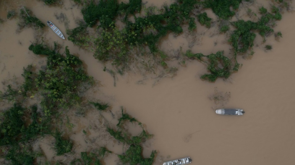 La vallée de Javari, axe stratégique du narcotrafic en Amazonie brésilienne