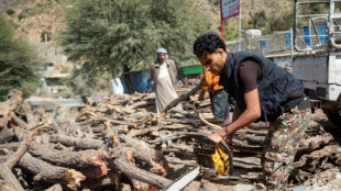 War-weary Yemenis fell trees for fuel, cash