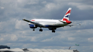 Britons advised to cut meat, air travel to reach net zero targets