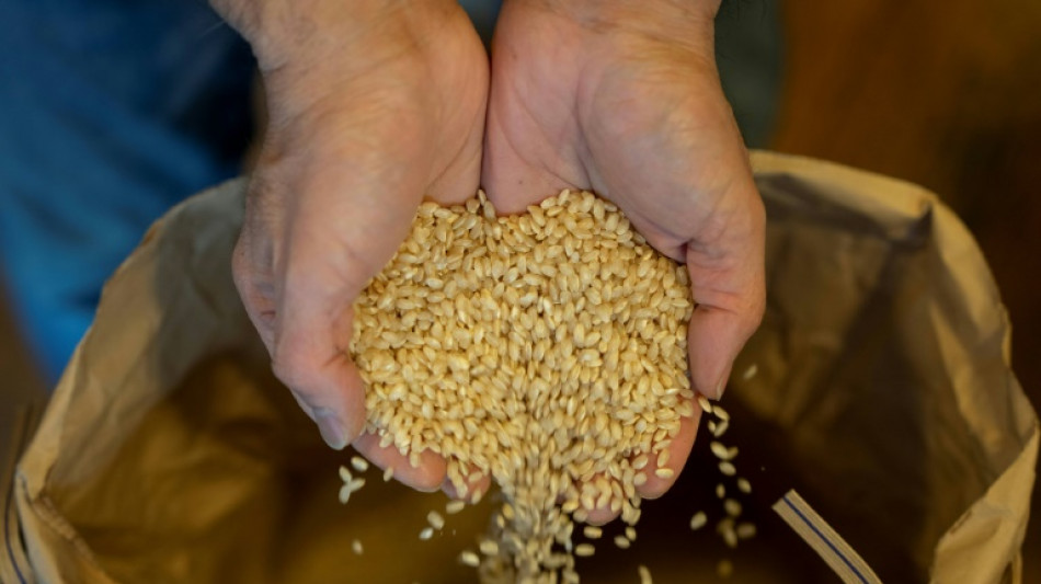 Japan to release emergency rice reserves to fight runaway inflation