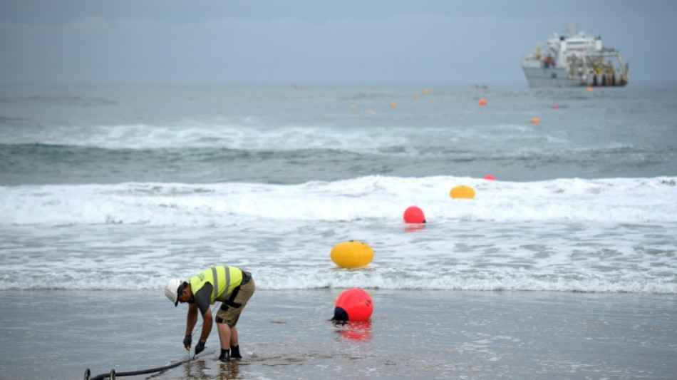 Fishing trawlers, not sabotage, behind most undersea cable damage: UN