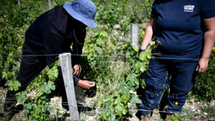 Casi el 80% de los desempleados en Francia usan la IA para buscar trabajo