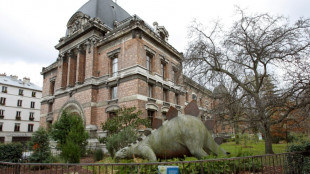 Appel aux dons pour restaurer un bâtiment emblématique du Muséum d'histoire naturelle