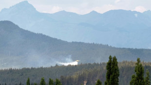 Argentine: après les forêts de Patagonie, les feux de prairies du nord