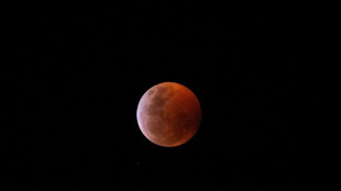 La Lune va rougir lors d'une éclipse dans la nuit de dimanche à lundi