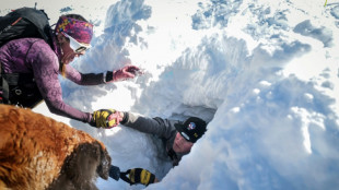 Les chiens d'avalanche à l'entraînement avant la déferlante des vacanciers