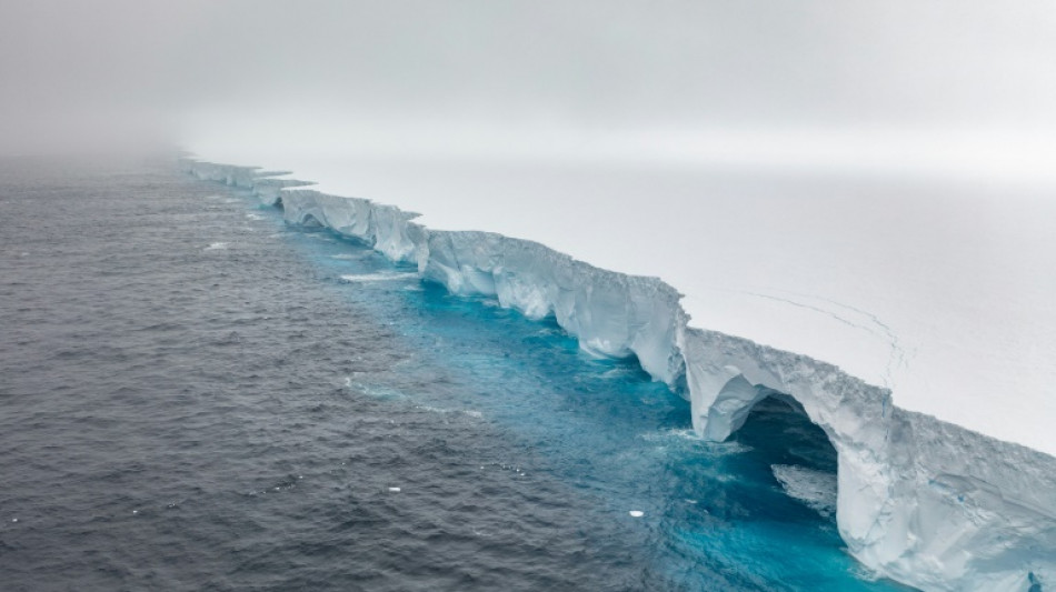 World's biggest iceberg runs aground, sparing wildlife haven island