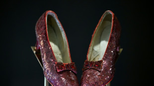 Ruby slippers from 'The Wizard of Oz' up for auction